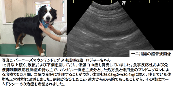 蛋白漏出性腸症（免疫抑制剤反応性）